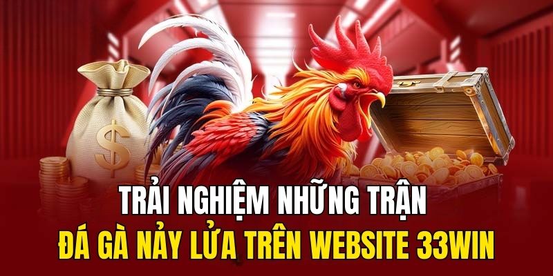 đá gà nảy lửa trên website 33win